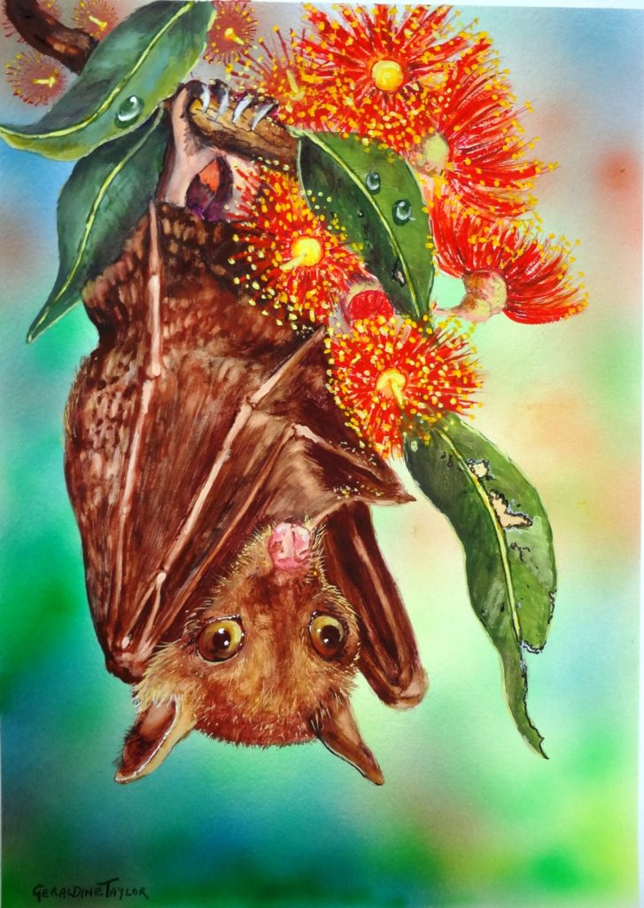 "All Wrapped Up" - fruit bat gouache SOLD