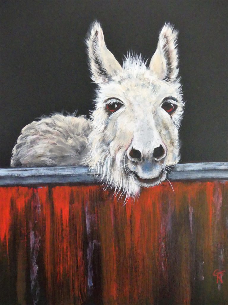 "Behind the Red Fence"-
Sweet old donkey painted in Acrylic on black card - SOLD
