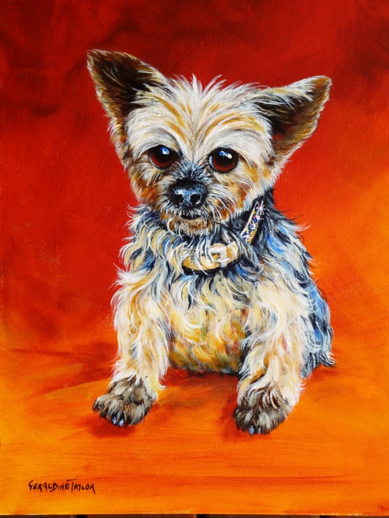 "Honey"- Yorkshire Terrier - Acrylic on canvas board