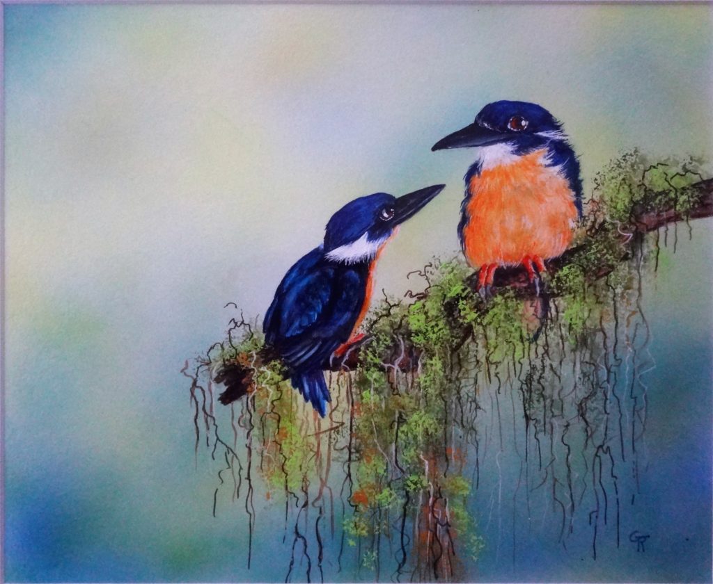 Azure Kingfishers painted in gouache. 