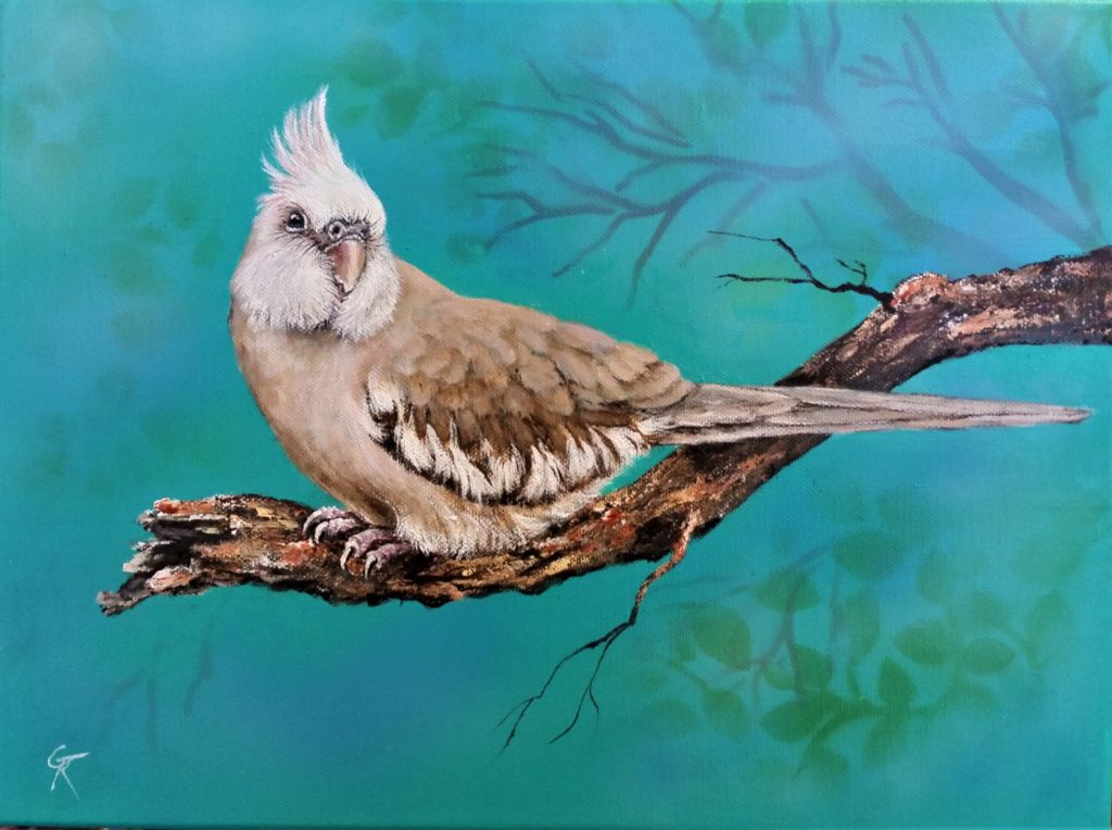 "Gus" - acrylic on stretched canvas.  (White faced cockatiel)