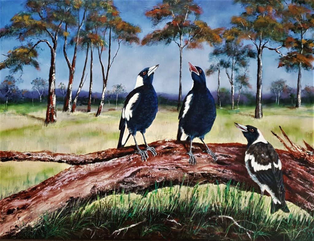 "Heart and Soul" Australian Magpies painted in acrylic. SOLD