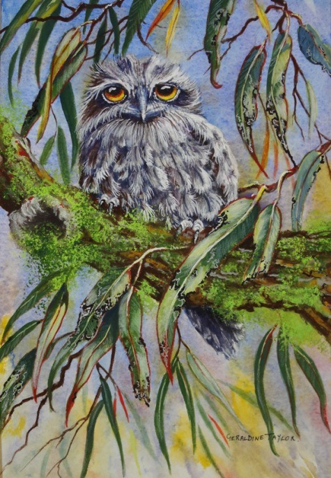 I Only Have Eyes For You Gouache (Tawney Frogmouth)