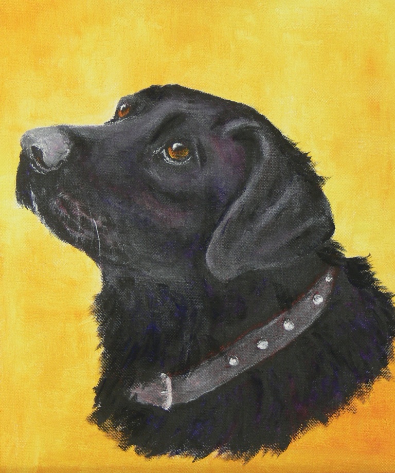 Joe - Acrylic (Labrador)