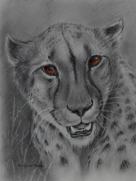 Lady in Waiting 2 (Cheetah) - pencil SOLD