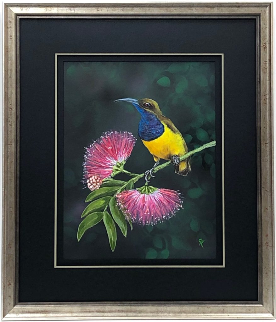 "Prince Charming" - Male olive backed sunbird painted in acrylic.