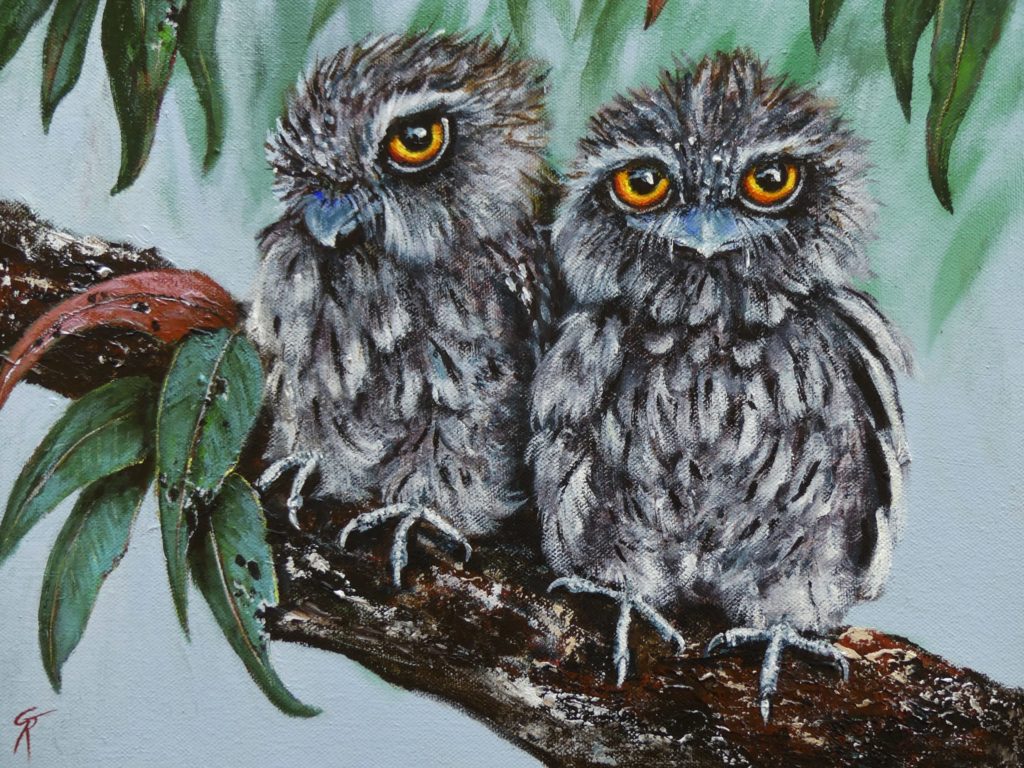 "Side by Side" Tawney Frogmouths painted in Acrylic on stretched canvas. SOLD