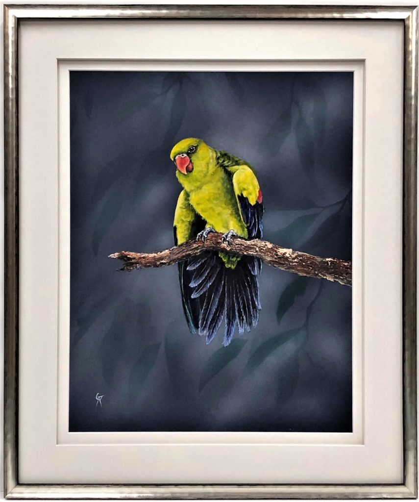 "Rare Beauty - Regent Parrot".  Acrylic SOLD