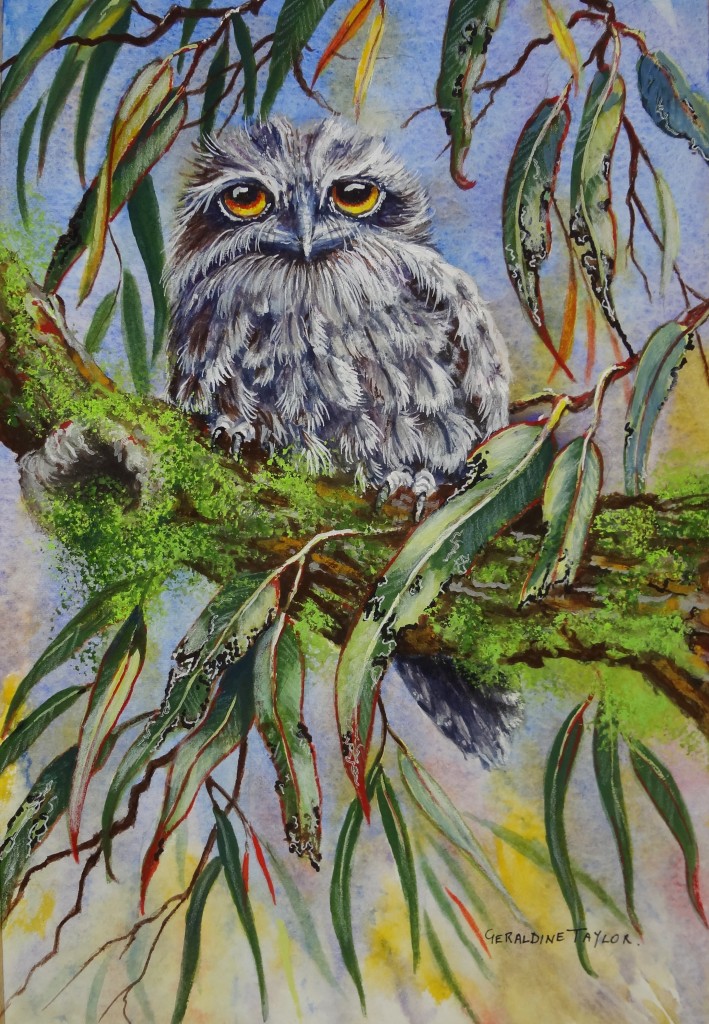 "I Only Have Eyes for You" - Tawny Frogmouth (Gouache on Watercolour Paper)