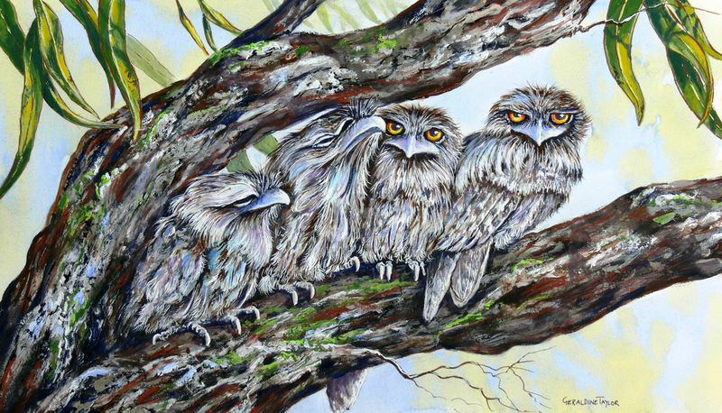 The Family - (Tawney Frogmouths) - Gouache SOLD