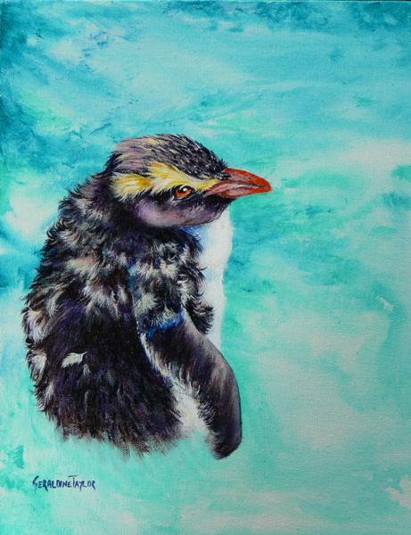 Eager to Go - Crested Penguin New Zealand (Acrylic) SOLD