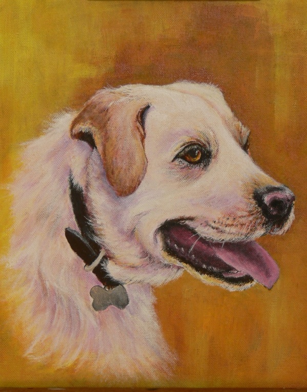  Max - acrylic (Labrador)