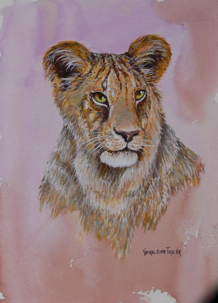 Young Lion - Gouache SOLD
