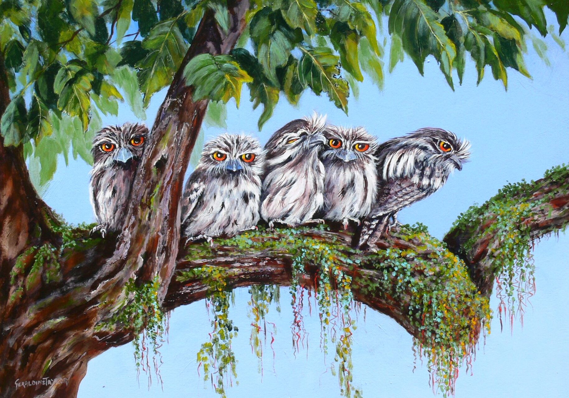 The Family Unit -Tawney Frogmouths (Acrylic on MDF) SOLD