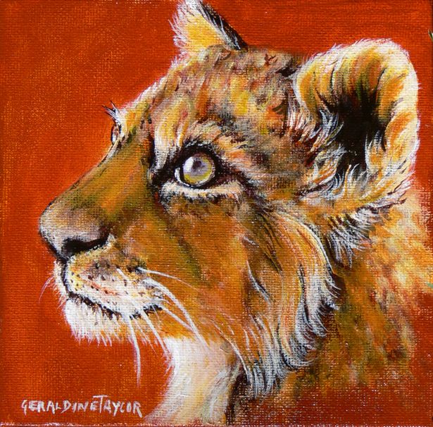 Next in Line - Acrylic (Young lion) SOLD